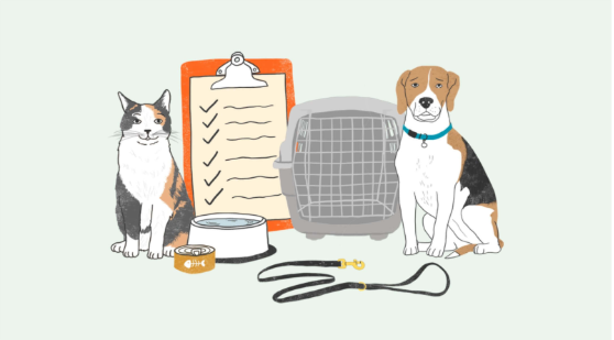 Pet Preparedness Checklist with cat and dog